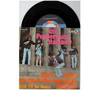 The Peppermint Rainbow - Don't Wake Me Up In The Morning, Michael