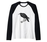 The Perching Crow Raven Ornithologie Oiseau Manche Raglan