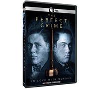 The Perfect Crime (American Experience)