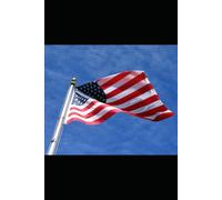 THE PERFECT PATRIOT ASSASSIN