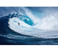 The Perfect Wave Poster de Sport Big Wave Surfing 91,5 x 61 cm