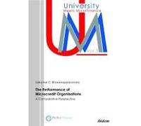 The Performance Of Microcredit Organisations. A Comparative Perspective