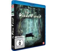 The Piano Forest [Blu-ray]