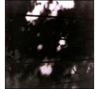The Pilot Ships - Limits of Painting & Poetry