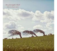 Pineapple Thief – What We Have Sown – Numérique