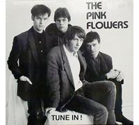 The Pink Flowers - Tune In!