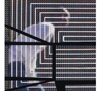 The Plain Where the Palace Stood