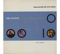 The Pleasure Seekers / You Are In My System-12"