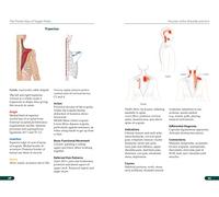 The Pocket Atlas of Trigger Points: A User-Friendly Guide to Muscle Anatomy, Pain Patterns, and the Myofascial Network for Students, Practitioners, and Patients