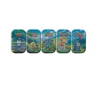 Pokémon- Étoiles Jeu de Cartes, 210-85014, Multicolore