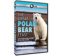The Polar Bear Feast