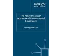 The Policy Process In International Environmental Governance