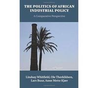 The Politics of African Industrial Policy: A Comparative Perspective - [Version Originale] Inconnu (Auteur)