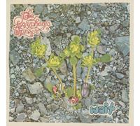 The Polyphonic Spree - Wait