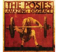 The Posies - Amazing Disgrace [Cd]