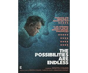The Possibilities Are Endless [DVD]