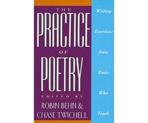 The Practice of Poetry Robin Behn (Auteur)