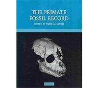 The Primate Fossil Record, Cambridge Studies in Biological and Evolutionary Anthropology Walter Hartwig (Auteur)