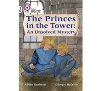 The Princes in the Tower An Unsolved Mystery by Abbie Rushton Paperback Book Abbie Rushton (Auteur)