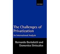 The Problems Of Privatization