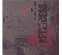 the process - vultures of human decay