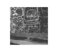 Alter – The Processes and Instruments of Normal People – Vinyle transparent 33 tours