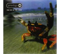 The Prodigy - The Fat of the Land (2 LP)