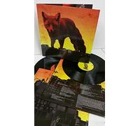 THE PRODIGY - THE PRODIGY the day is my enemy, 2 x lp, gatefold, HOSPLP005