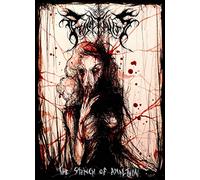 The Projectionist - The Stench of Amalthia [Import]