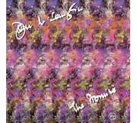 The Promise by John McLaughlin [Audio CD] NEUF