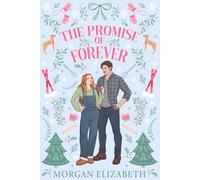 The Promise of Forever: A Small Town, Best Friend's Brother, Single Dad Winter Romance