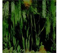mayddle – The Promise Ring - Woodwater