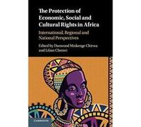 The Protection of Economic, Social and Cultural Rights in Africa: International, Regional and National Perspectives - [Version Originale] Inconnu (Auteur)