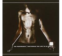 The Provenance - How Would You Like To Be Spat At