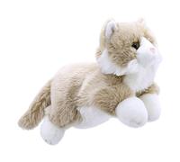 Full - Bodied Beige & White Cat