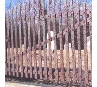 The Quiet Earth Orchestra