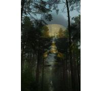 The Quiet Father: An Honest Story About Anxiety, Depression, and the Quiet Strength of a Father Who Had to Grow