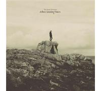 The Quiet Portraits - Vinyle 33 Tours