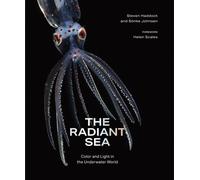 The Radiant Sea Color and Light In the Underwater World - Steven Haddock - Abrams Books - ebook (ePub) - Livre