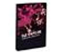 Rapture - Is Live, And Well, In New York City,The