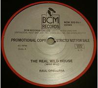 The Real Wild House