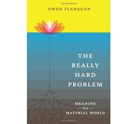 The Really Hard Problem: Meaning in a Material World