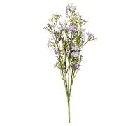 The Recipe Vaporisateur de Fleurs Sauvages Violettes, Multicolore, Taille Unique