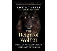 The Reign of Wolf 21: The Saga of Yellowstone's Legendary Druid Pack