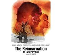 The Reincarnation of Peter Proud