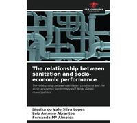 The relationship between sanitation and socio-economic performance: The relationship between sanitation conditions and the socio-economic performance of Minas Gerais municipalities