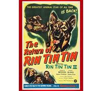 The Return of Rin Tin