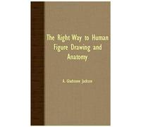 The Right Way To Human Figure Drawing And Anatomy