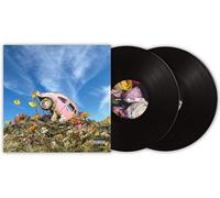 The Rise & Fall Of Loverboy (Vinyl)