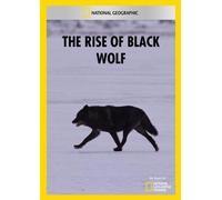 The Rise Of Black Wolf